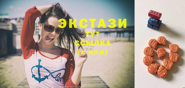 мдпв Горнозаводск