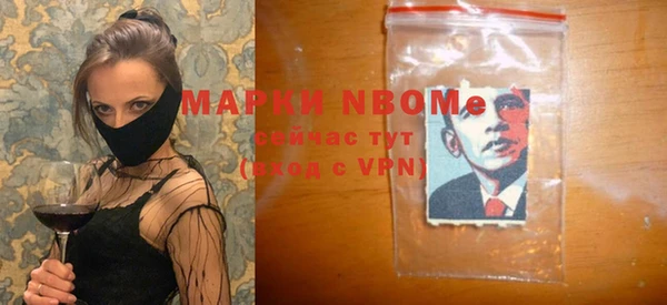 мдпв Горнозаводск