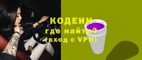 мдпв Горнозаводск