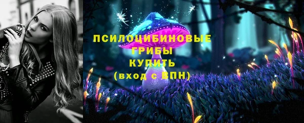 мдпв Горнозаводск