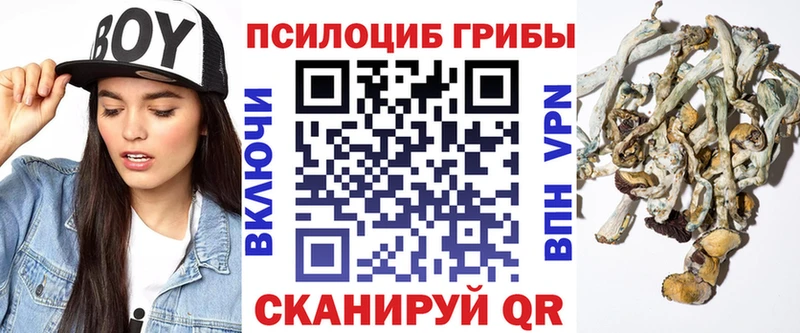 Галлюциногенные грибы MAGIC MUSHROOMS купить закладку Калуга